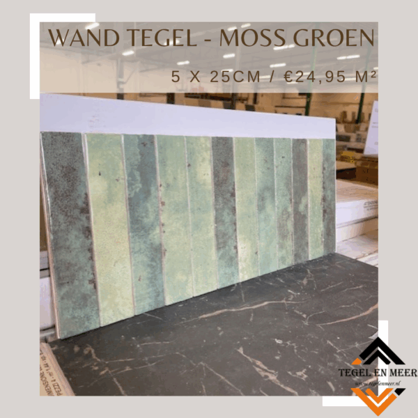 Wandtegel Moss 5x25